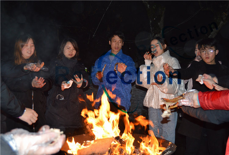 新澳门全年资料内部公开